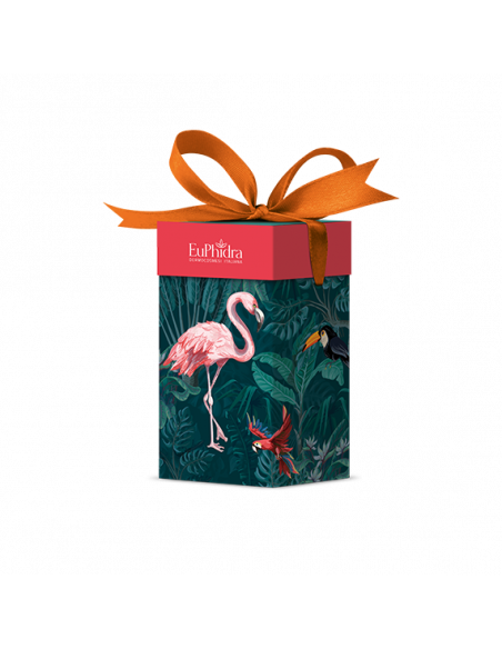 EUPHIDRA BODY HARMONY 2PZ